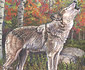 Wolf Pastel