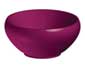 purple graphic bowl